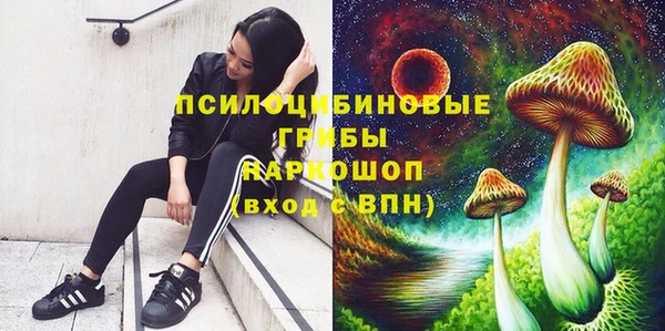 а пвп мука Армянск