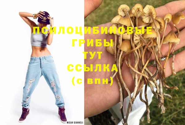 а пвп мука Армянск