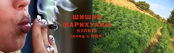 спайс Аркадак