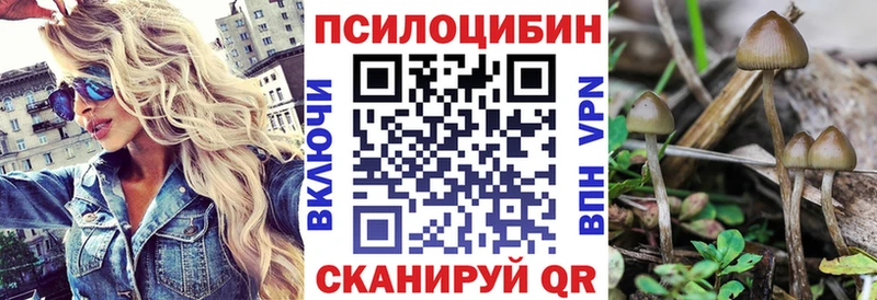 даркнет сайт  Оханск  Псилоцибиновые грибы прущие грибы 